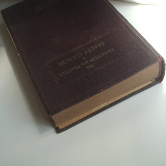 The Principles and Practices of Beauty Culture Official Textbook Wilfred Academy - Picture 12 of 16